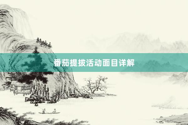 番茄提拔活动面目详解