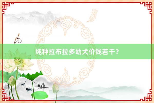 纯种拉布拉多幼犬价钱若干？