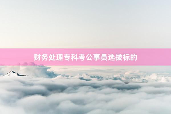 财务处理专科考公事员选拔标的