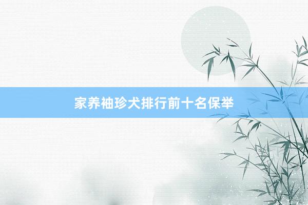 家养袖珍犬排行前十名保举